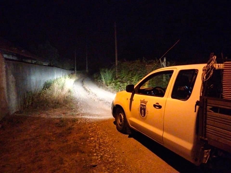  Incêndios: Patrulhas para vigiar matas em Repeses e São Salvador - Jornal do Centro