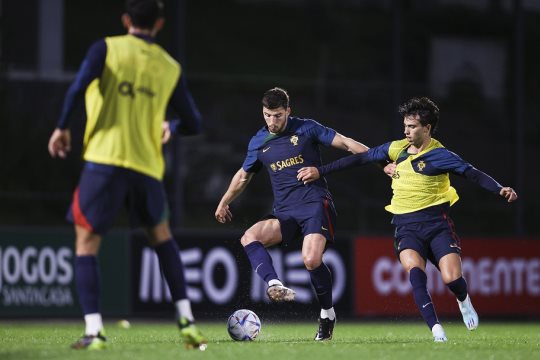  Seleção nacional: António Silva e João Félix já conhecem o número das camisolas - Jornal do Centro