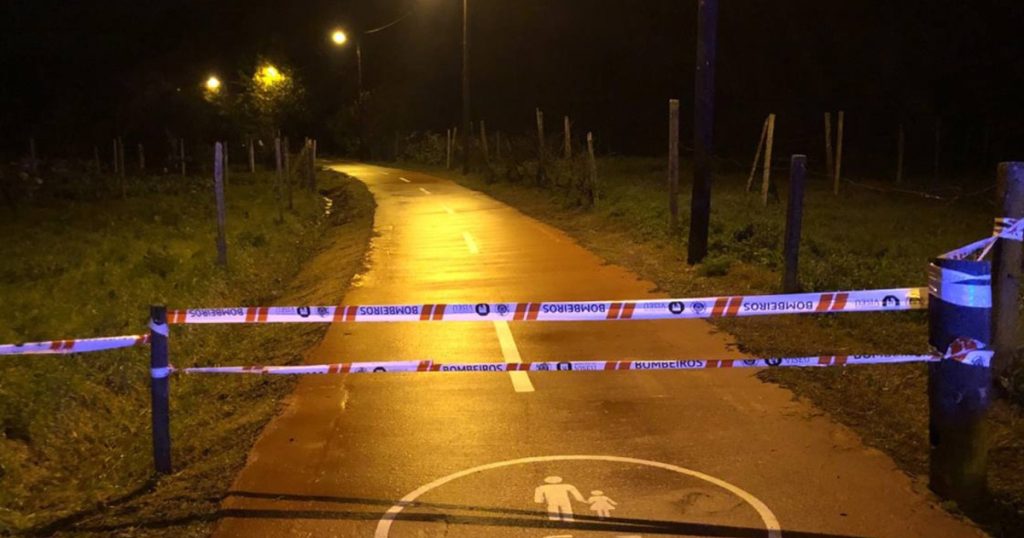  Árvores em risco obrigam a corte da Ecopista do Dão - Jornal do Centro