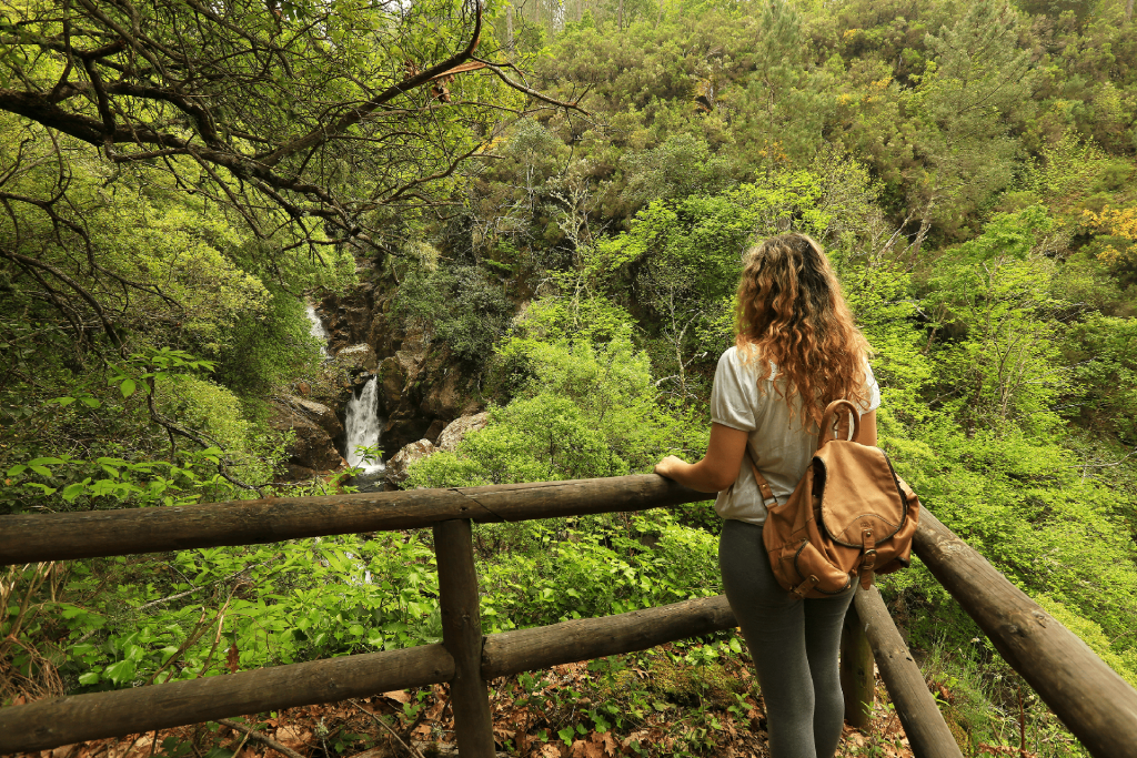  Aldeias de Montanha: pastores, lendas e a natureza no seu estado puro - Jornal do Centro