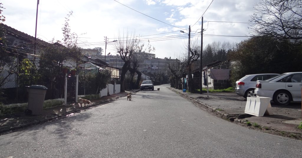  Bloco de Esquerda dedicou terceiro dia da campanha ao Bairro da Cadeia - Jornal do Centro