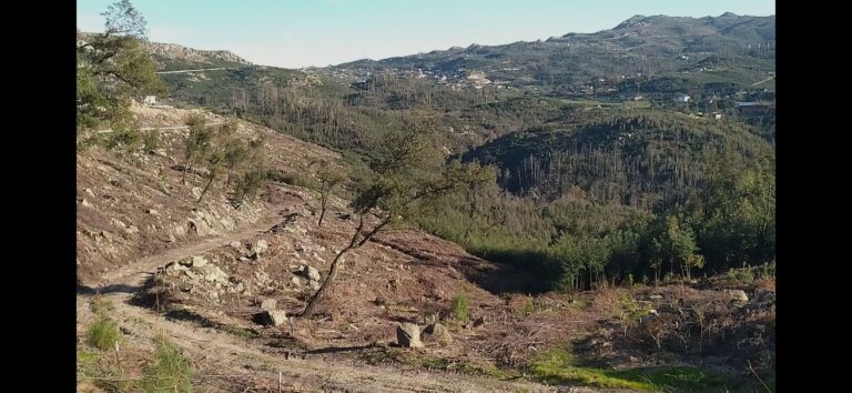 17032114484669cb27f68ad46b6f46b18de68269605582cd3c60