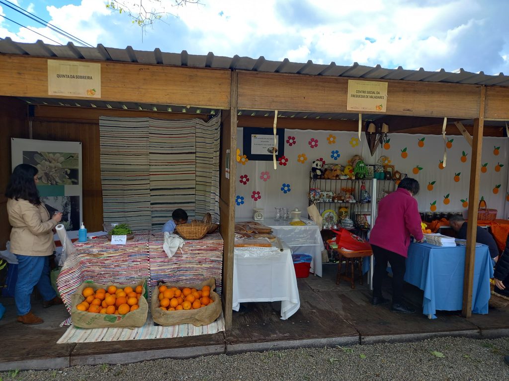  Feira da Laranja abre as portas em São Pedro do Sul - Jornal do Centro