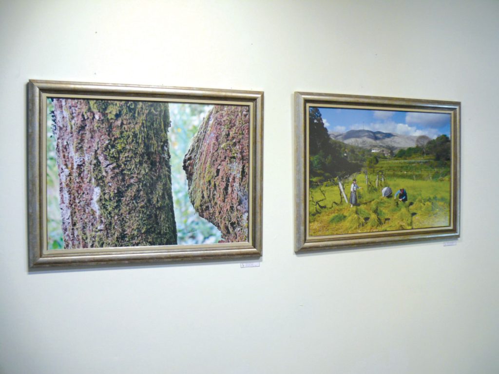  Museu Municipal de Oliveira de Frades oferece visita guiada noturna - Jornal do Centro