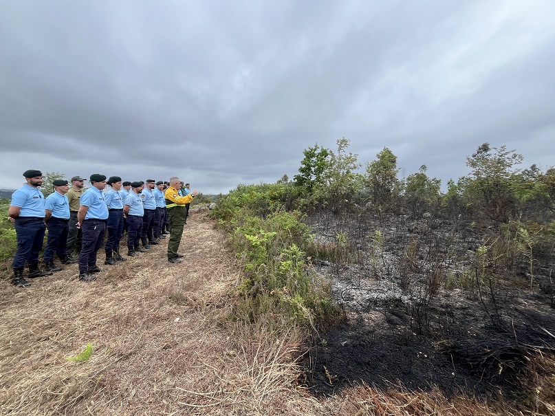  Os incêndios, a preservação da área ardida e um curso que já formou mais de 400 especialistas - Jornal do Centro