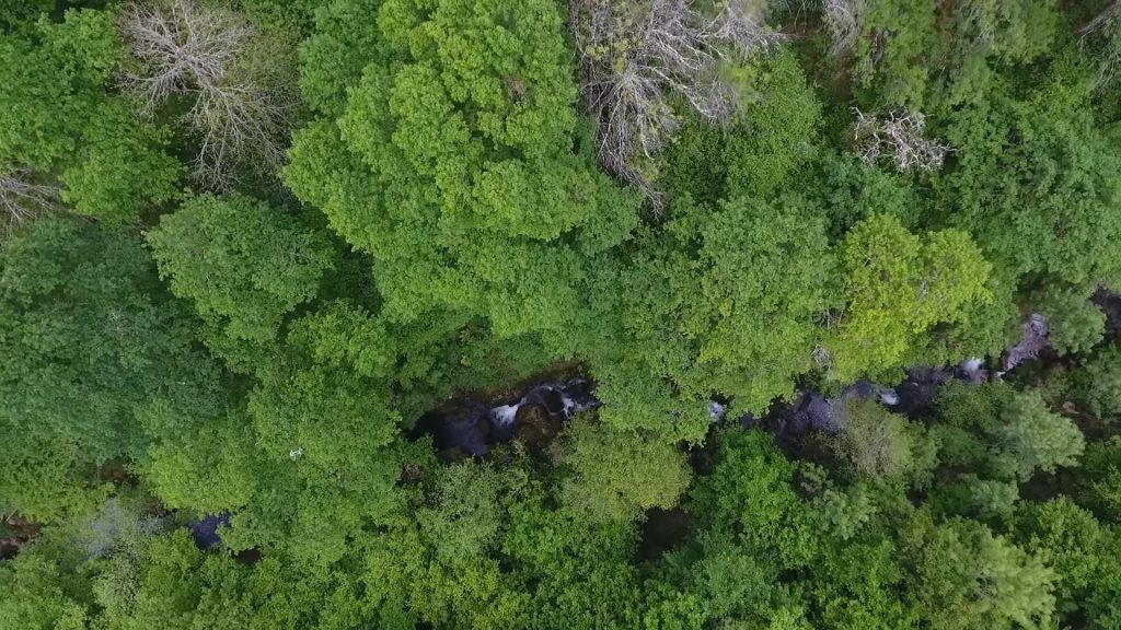  Documentário de realizador de Vouzela finalista em festival de cinema - Jornal do Centro