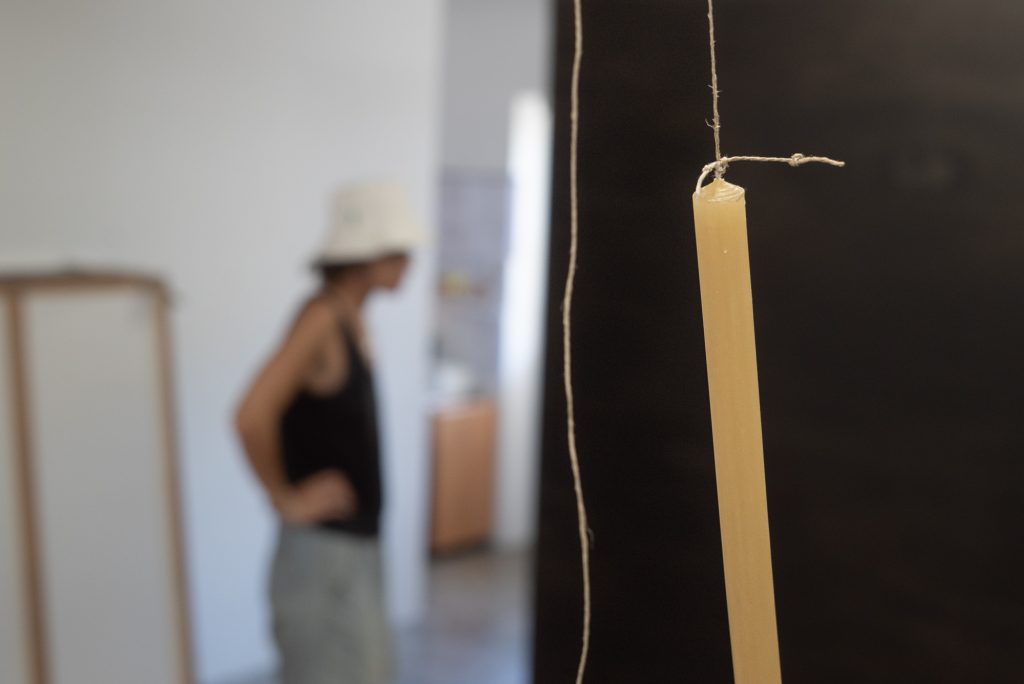  VNBM inaugura exposição de Dayana Lucas em Viseu - Jornal do Centro