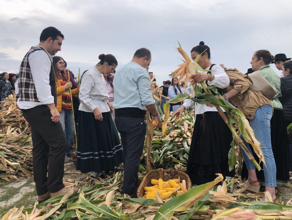  Associação Cultural de Vouzela comemora 30 anos e não deixa cair rancho folclórico - Jornal do Centro