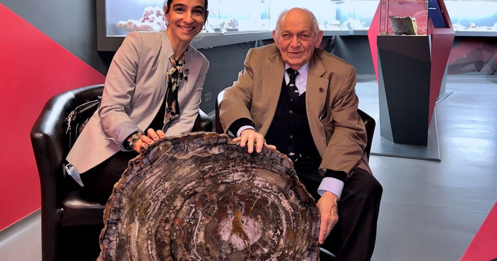  Museu do Quartzo recebe fóssil com 225 milhões de anos - Jornal do Centro