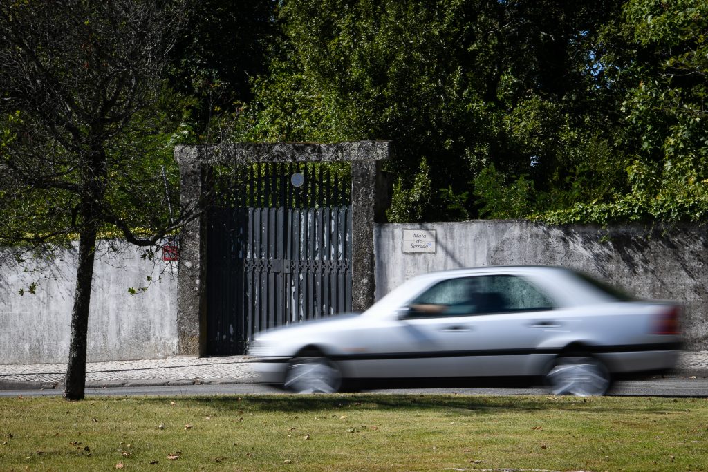  Novo espaço verde vai abrir ao público no centro de Viseu - Jornal do Centro