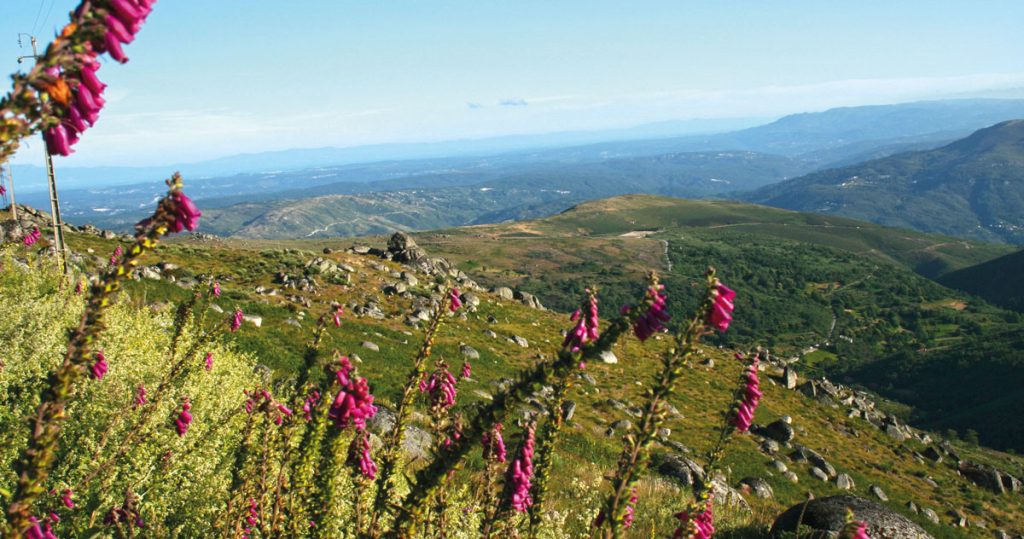  Tempo: mínimas baixam em Viseu. Máximas no distrito entre os 10 e os 17 graus - Jornal do Centro