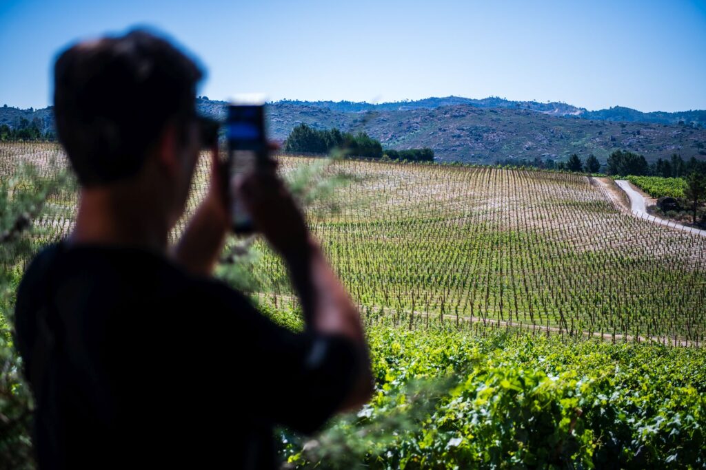  Dezanove produtores do Dão participam em feira digital - Jornal do Centro