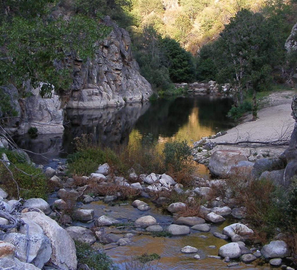  Granjinha, onde há tesouros que o livro de S. Cipriano guarda - Jornal do Centro