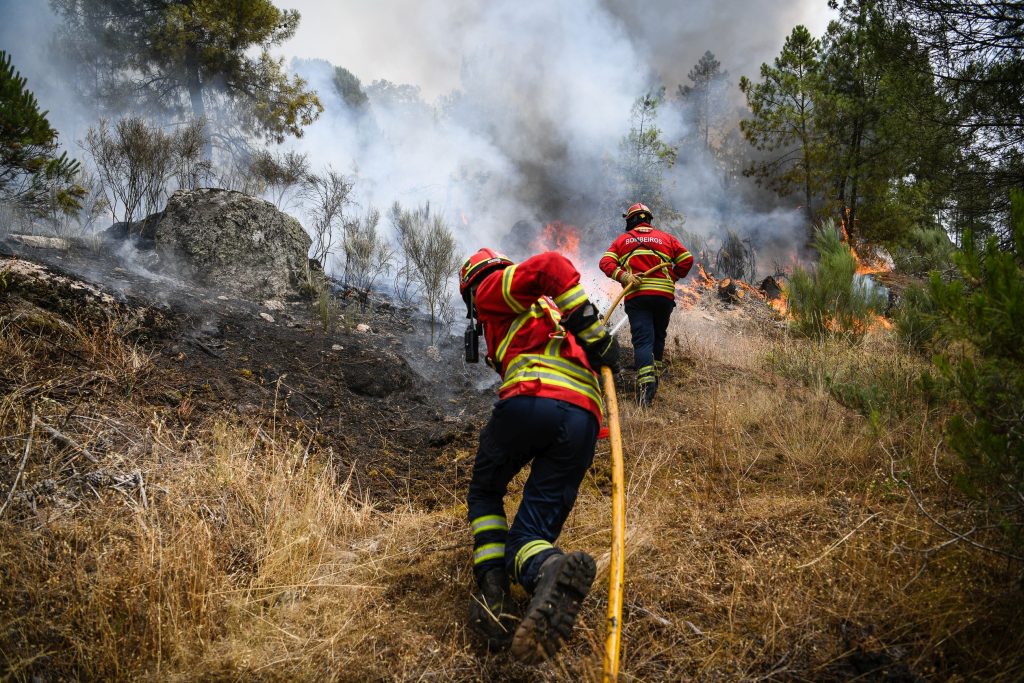  Viseu no “top 5” dos distritos com mais incêndios rurais desde o início do ano - Jornal do Centro