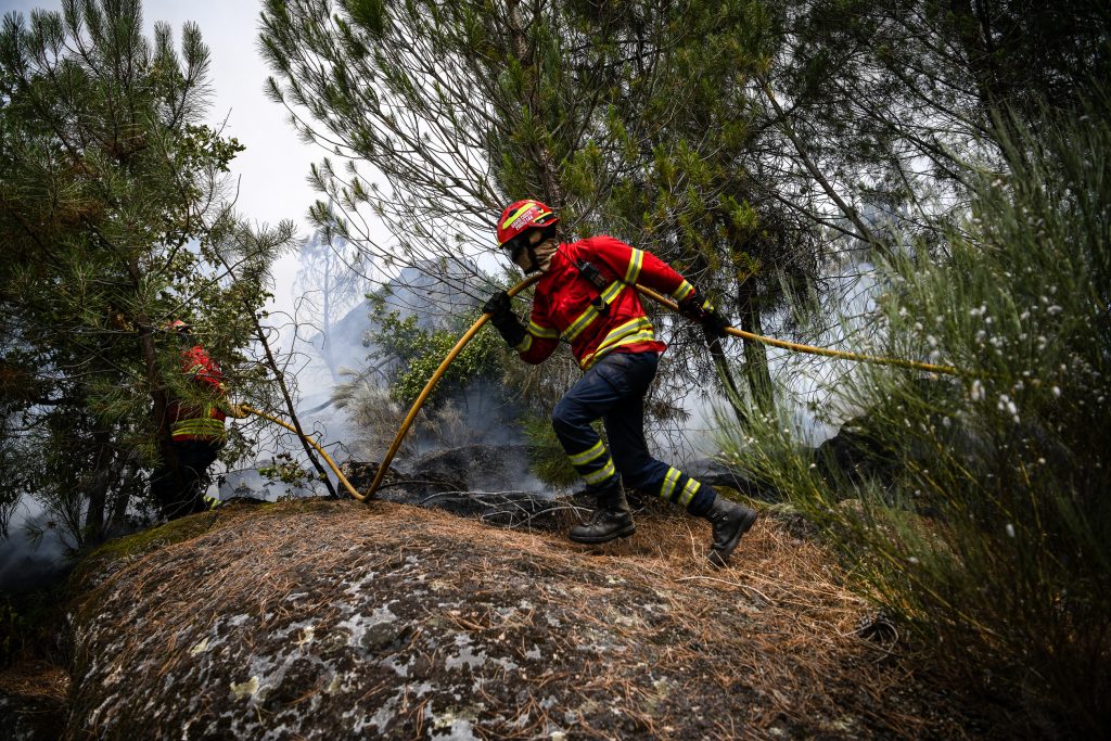  Incêndios: Decretada situação de alerta entre domingo e terça-feira - Jornal do Centro