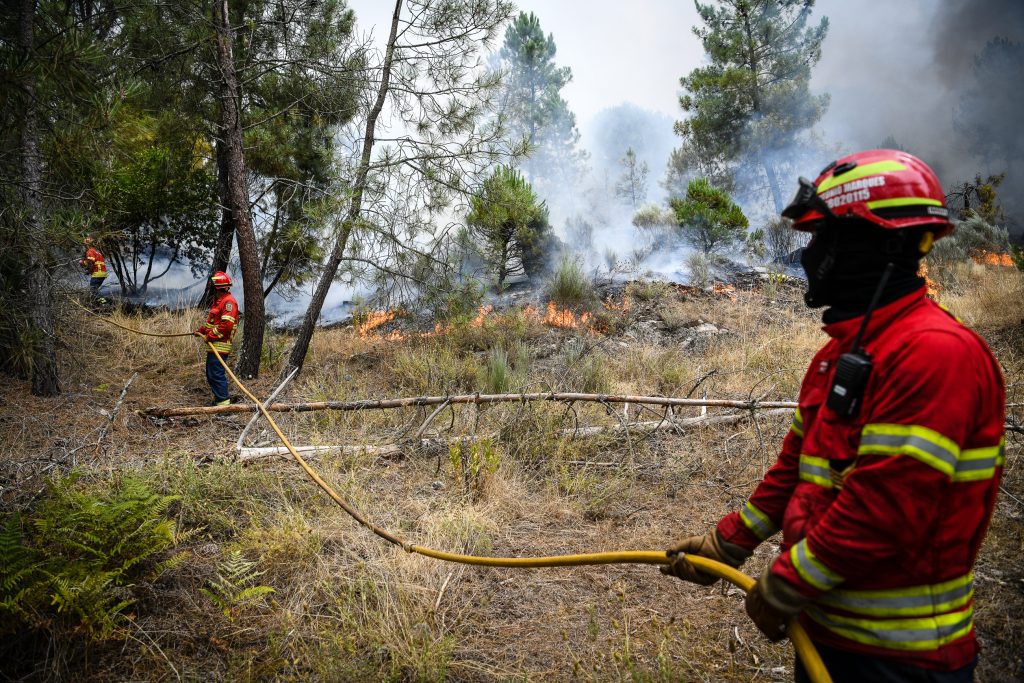  Deflagraram 503 incêndios no distrito de Viseu até julho - Jornal do Centro