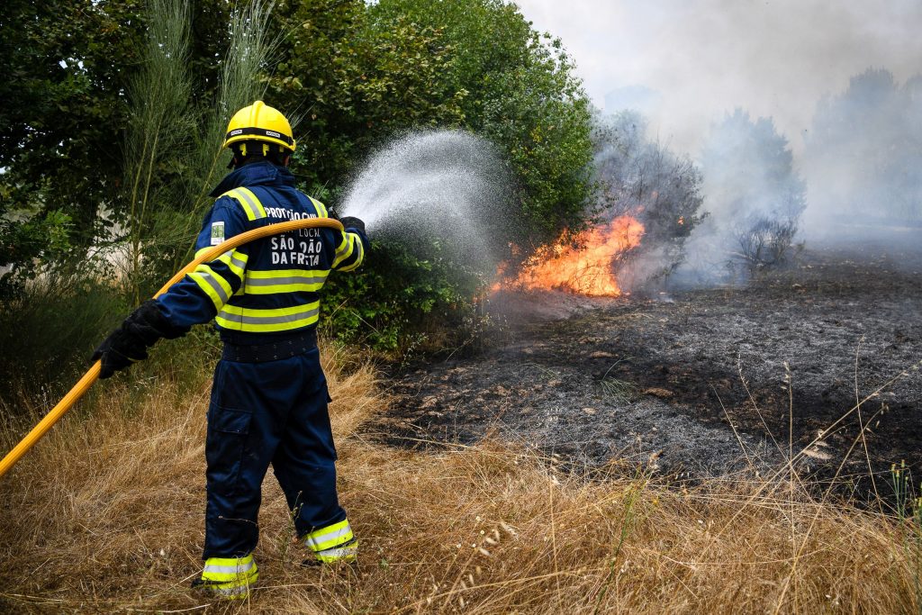  Distrito de Viseu com mais de 200 incêndios rurais neste verão - Jornal do Centro