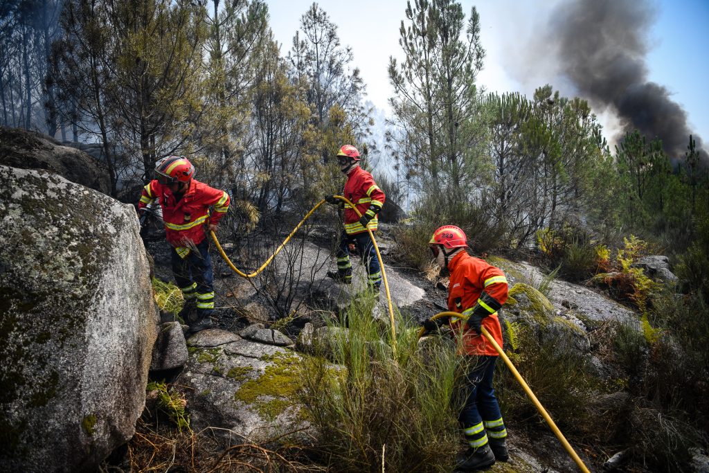  Estudo avaliou reações do cérebro de bombeiros em situações críticas de incêndios - Jornal do Centro