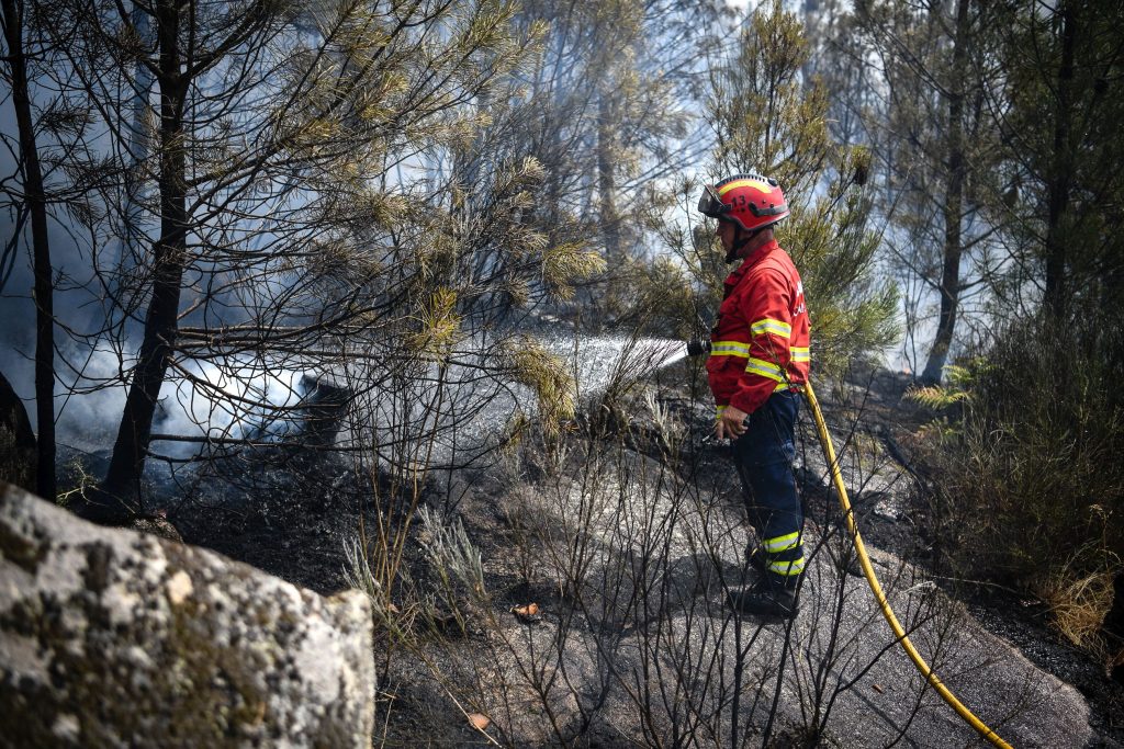  Viseu em perigo máximo de incêndio rural