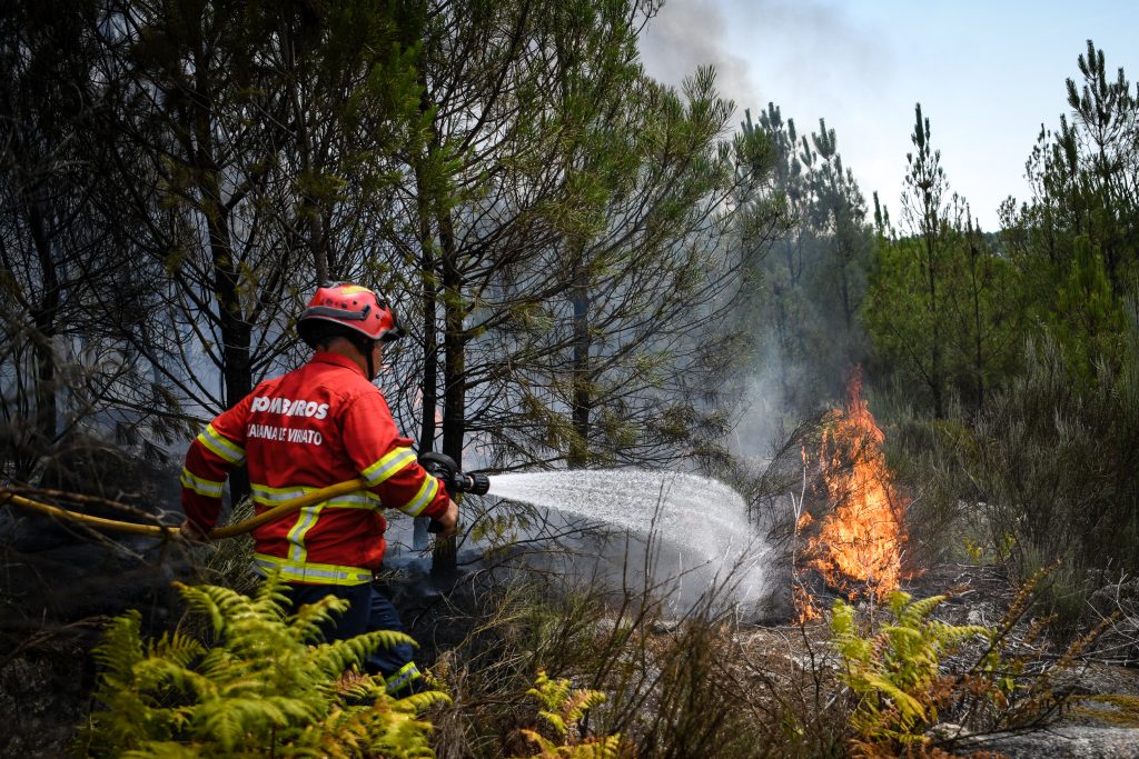  Nelas com a maior área ardida e Castro Daire com o maior número de incêndios em 2023 - Jornal do Centro