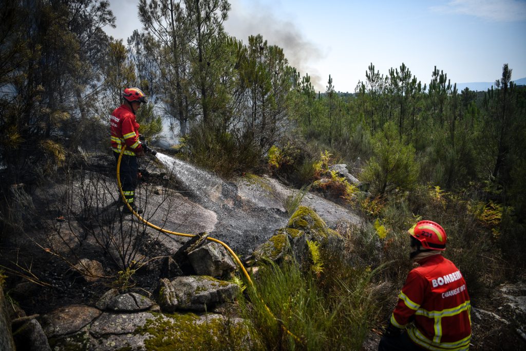  Mais de 50 bombeiros da região de Viseu envolvidos no combate ao incêndio da Serra da Estrela - Jornal do Centro
