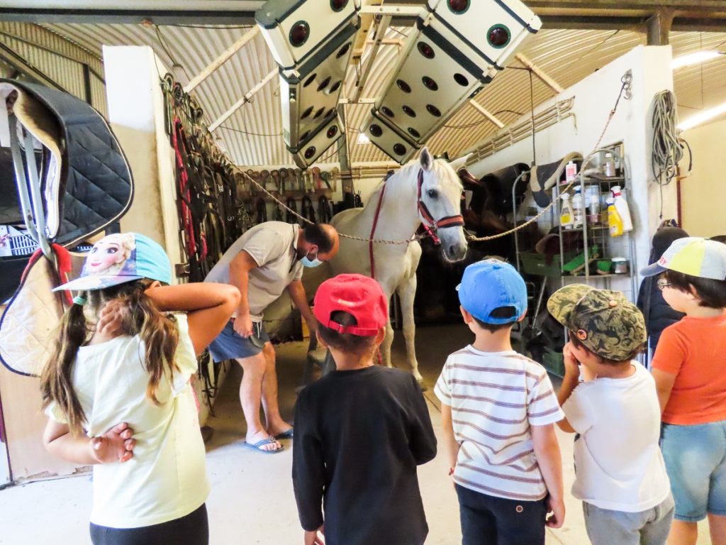  Nelas: Câmara promove “Férias com Palmo e Meio”