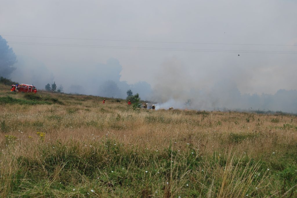  Sete municípios da região sem planos contra fogos atualizados - Jornal do Centro