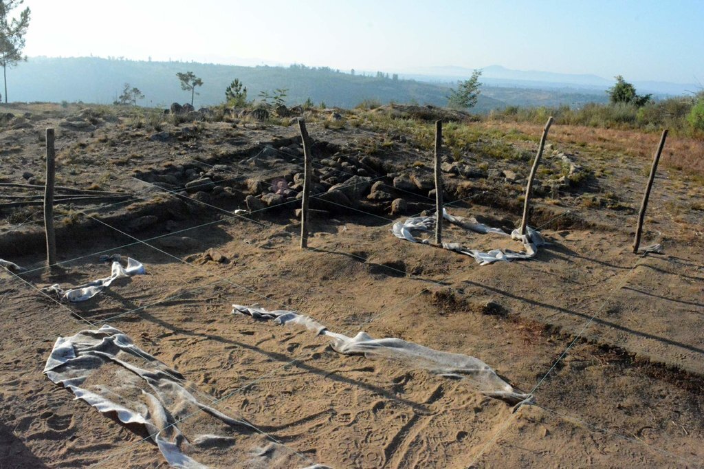  Arqueólogos descobriram troncos de madeira e entrada antiga em Carregal do Sal - Jornal do Centro