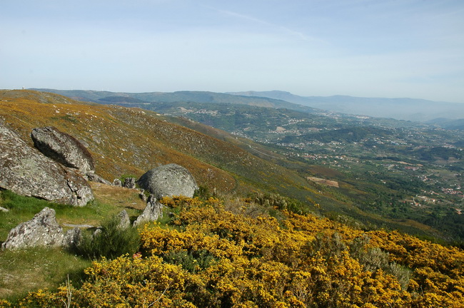  Tarouca assinala Dia da Floresta com plantação na Serra de Santa Helena
