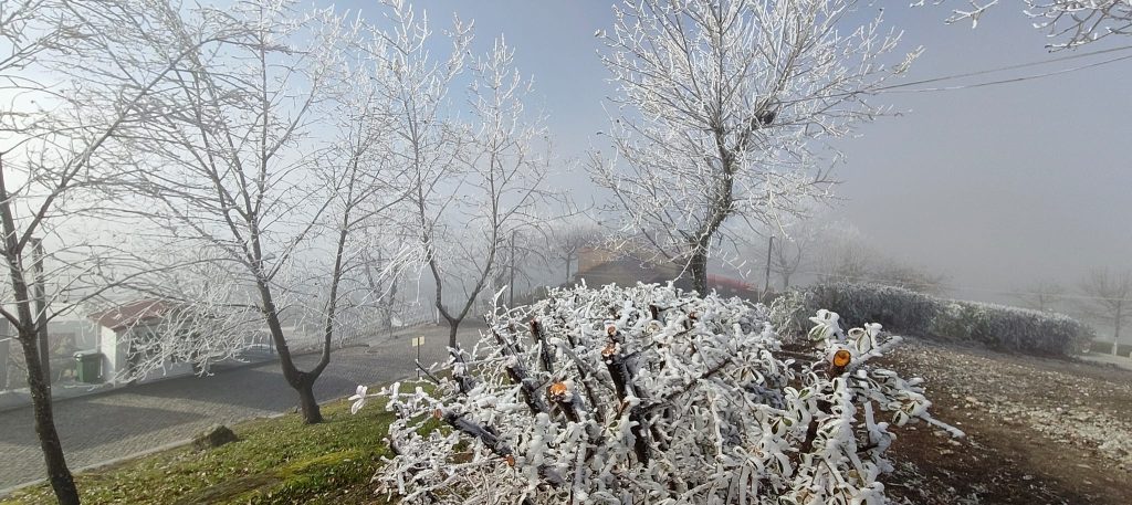  Neve e vento levam Proteção Civil a emitir alerta para o fim de semana - Jornal do Centro