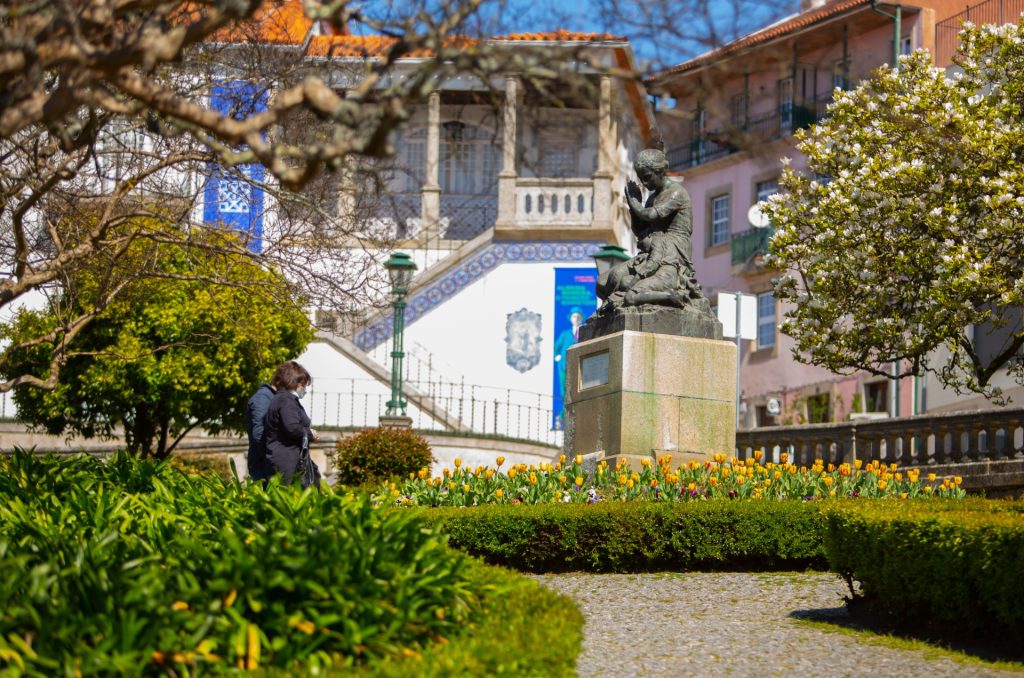  Jardins de Viseu encerrados por causa de praga - Jornal do Centro