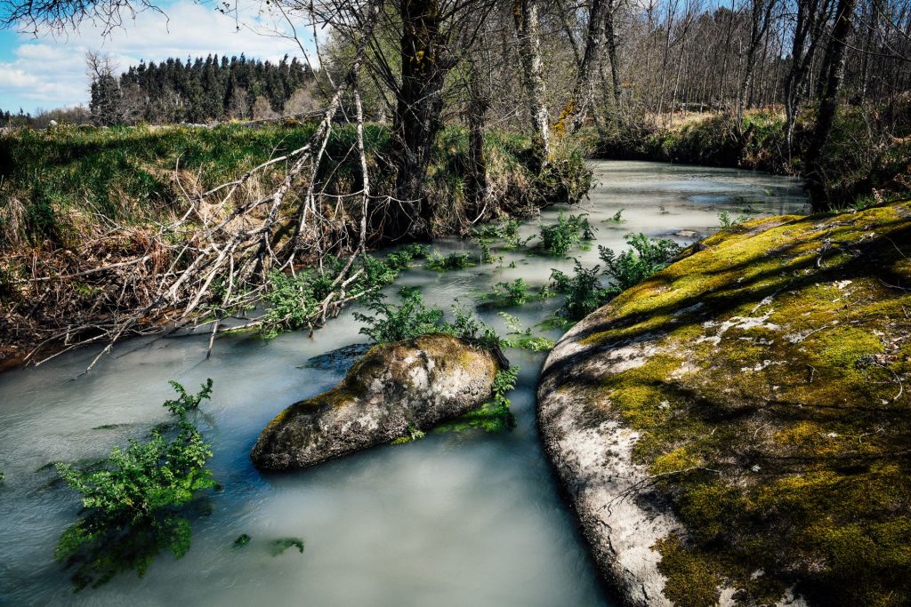  ‘Bandeira negra’ para rios e ribeiras da região de Viseu - Jornal do Centro