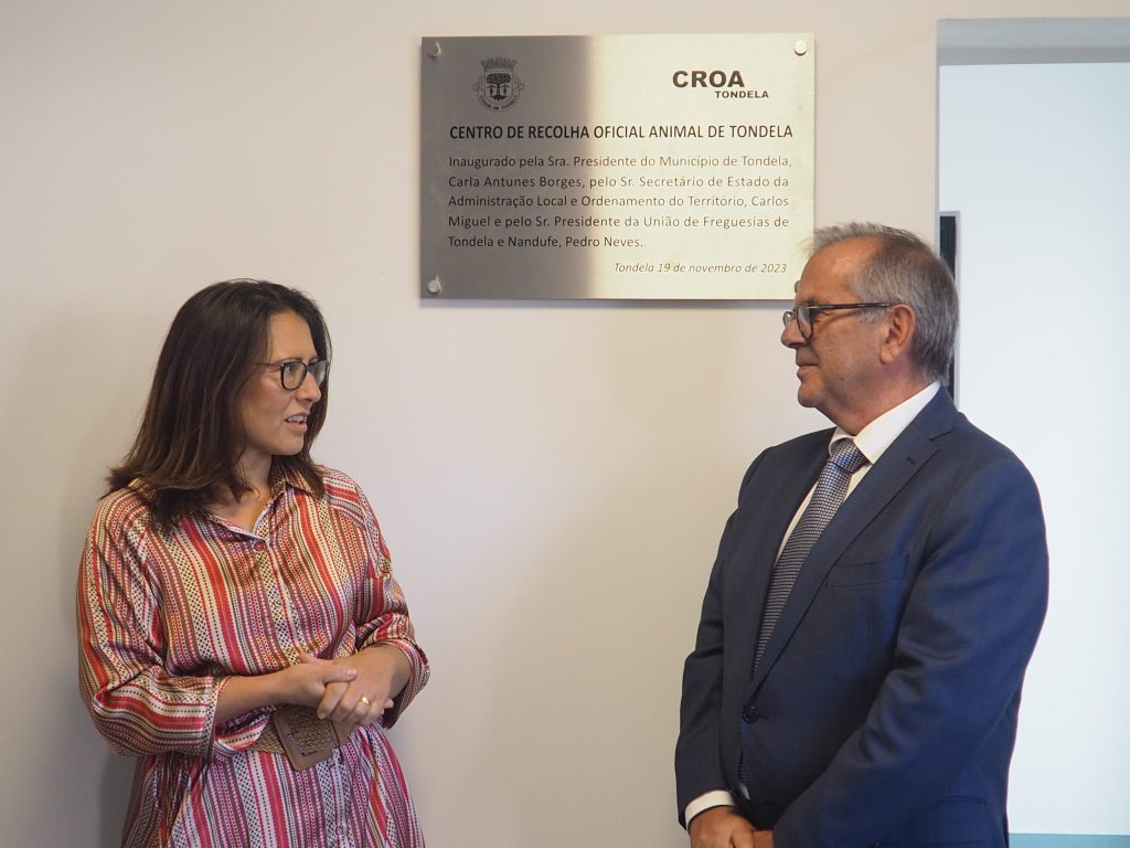  Novo canil em Tondela abre portas em janeiro de 2024 - Jornal do Centro