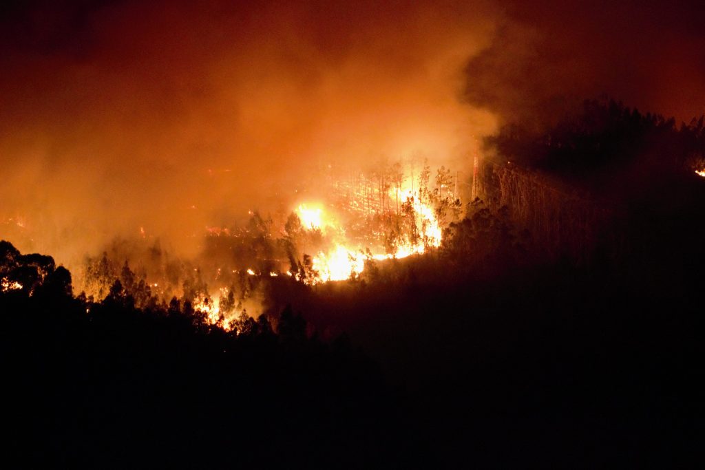  Manifestação em São Pedro do Sul contra os fogos florestais - Jornal do Centro