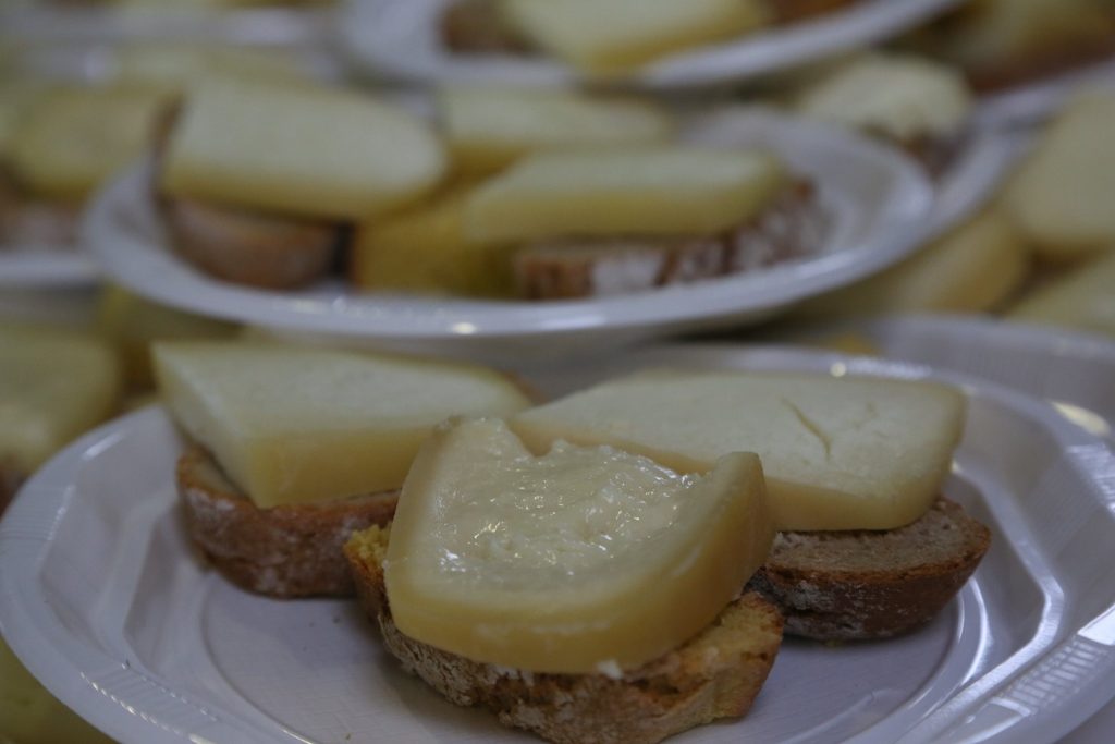  Dão: candidaturas abertas para pequenos investimentos na agricultura - Jornal do Centro