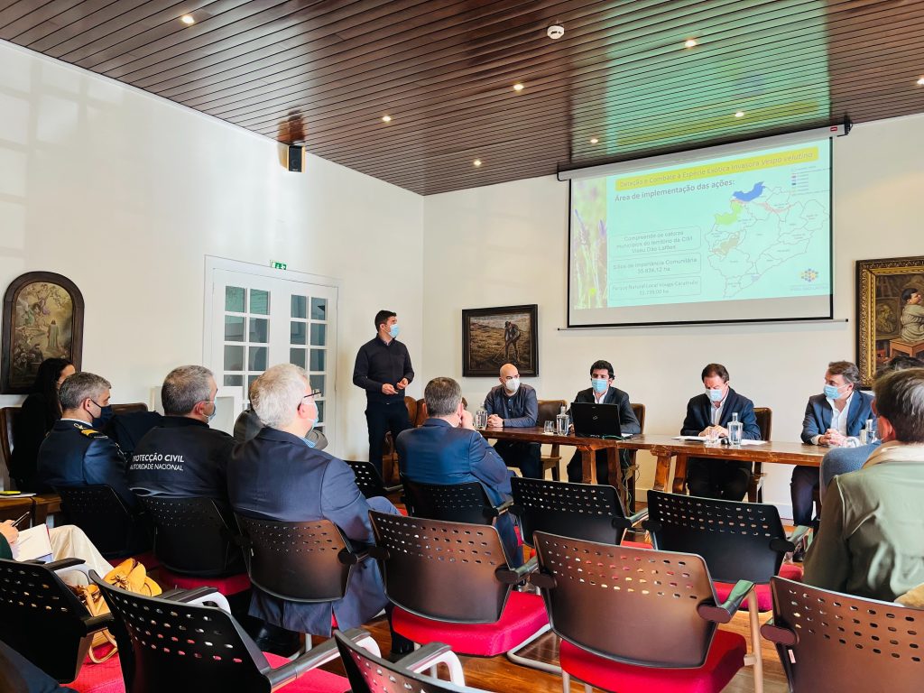  CIM Viseu Dão Lafões inicia projeto de identificação e combate à vespa asiática - Jornal do Centro