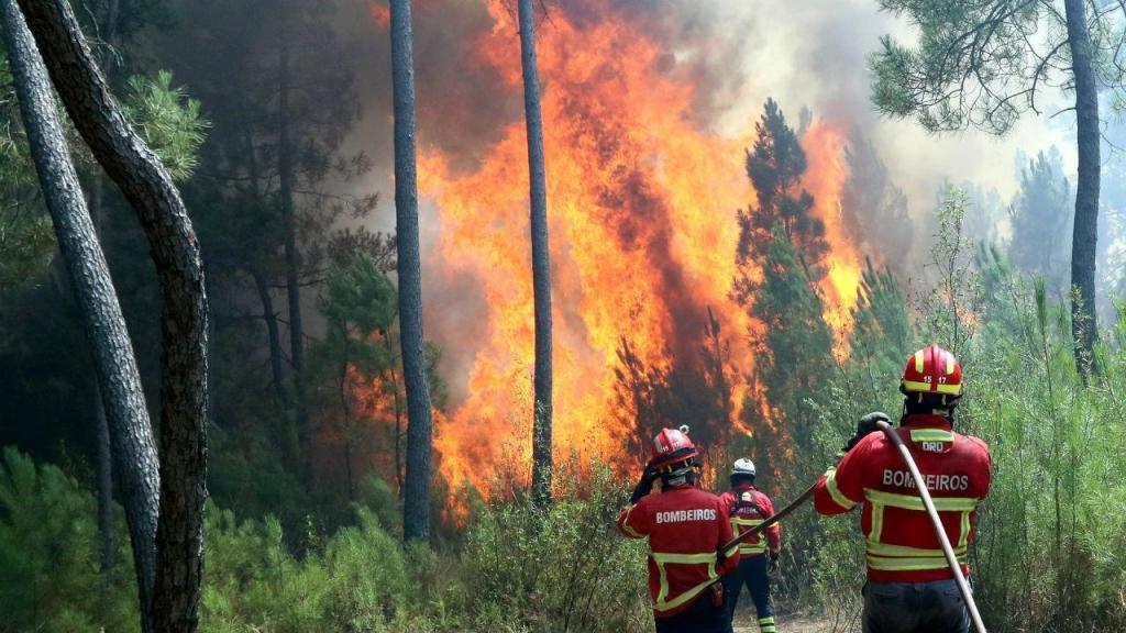  Tabuaço: Incêndio em Sendim está em fase de rescaldo - Jornal do Centro