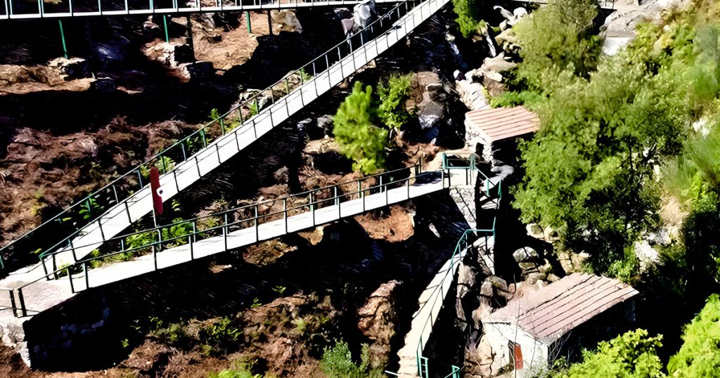  Rota dos Moinhos dá a conhecer caminhos rurais do concelho de Tondela - Jornal do Centro