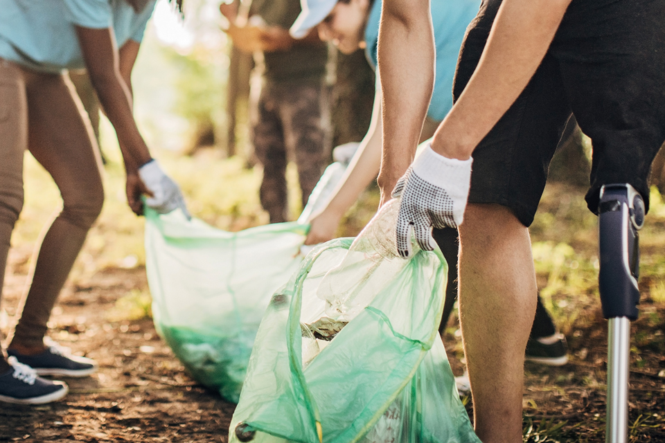  Câmara de Vouzela procura 28 jovens voluntários para vigiar florestas - Jornal do Centro