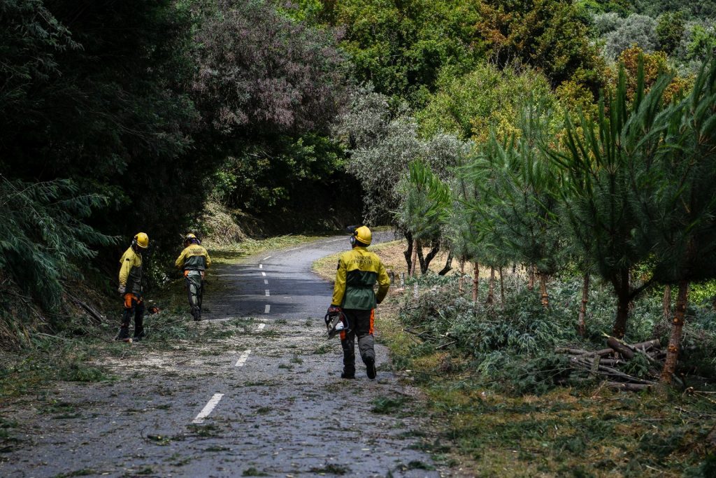 Há sapadores florestais a ser “intimidados a não ir à greve”. Cerca de 50% aderiram - Jornal do Centro