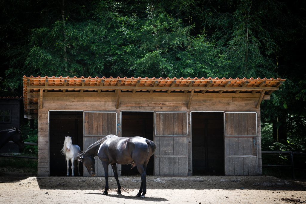  A Mia, o Liberdade e o Manteigas fazem a história dos 20 anos do Parque da Serra das Meadas