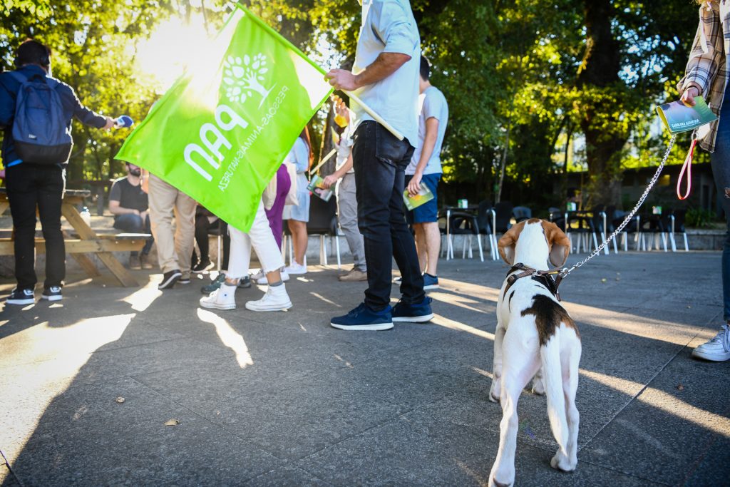  Manifesto pede realização de Congresso eletivo do PAN dentro de cinco meses - Jornal do Centro