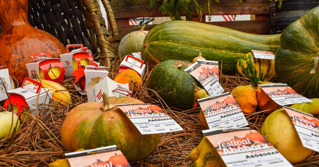  Abóbora com 60 quilos premiada em Moimenta da Beira - Jornal do Centro