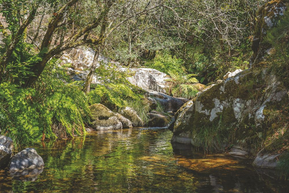  Oliveira de Frades: Levada(o)s pela Natureza e Património - Jornal do Centro