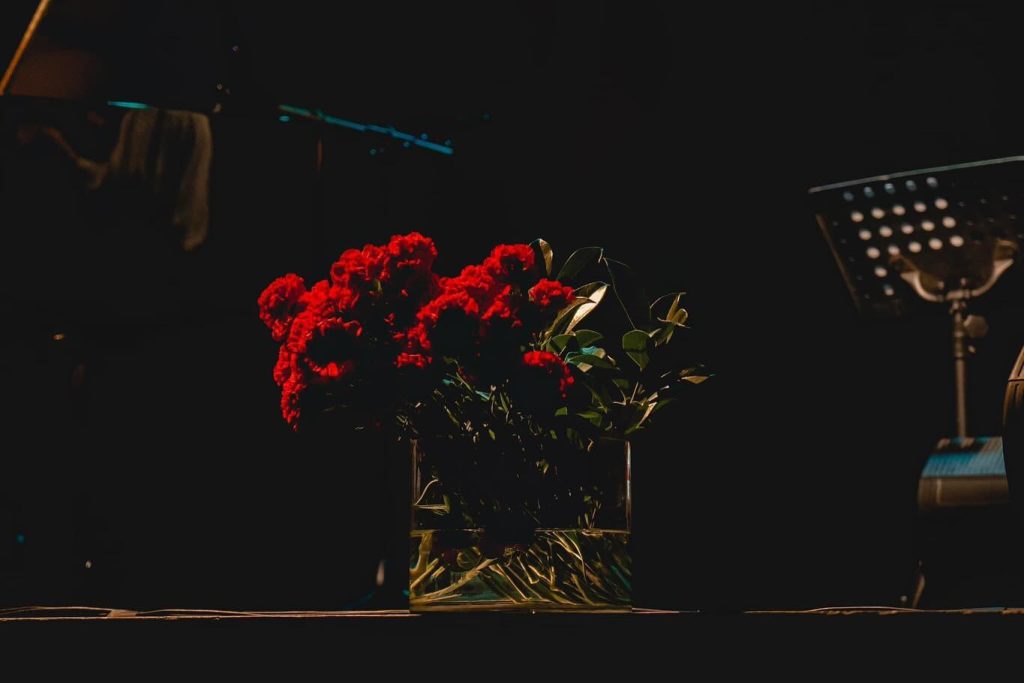  ACERT com música de Abril na véspera dos 50 anos da Revolução - Jornal do Centro