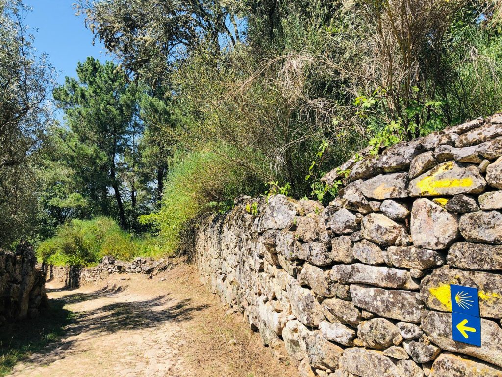  Caminho de Torres que atravessa norte do distrito de Viseu pode ser validado em 2023 - Jornal do Centro