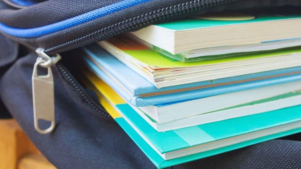 Apoios na compra de livros escolares em Castro Daire - Jornal do Centro