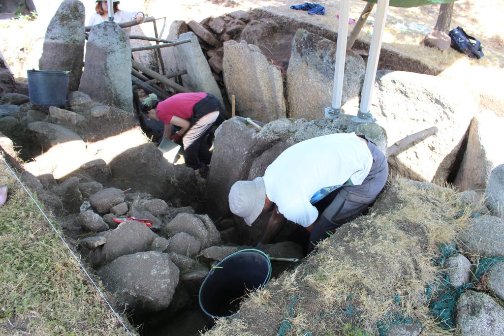  Dia aberto às escavações arqueológicas no Tapado das Casas, em Vouzela - Jornal do Centro