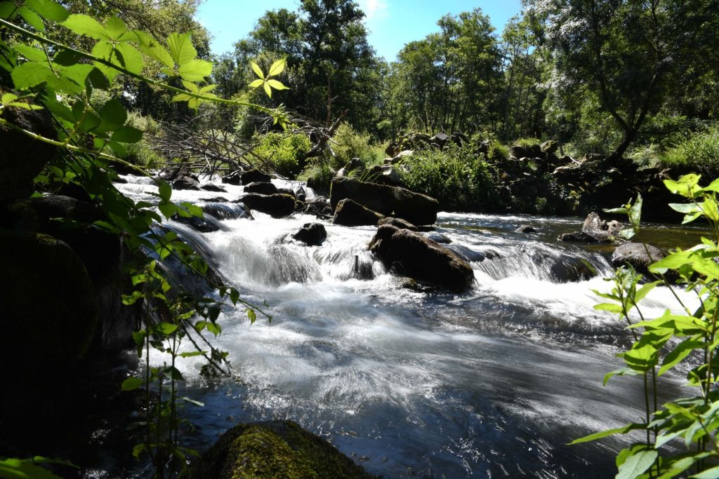  Margens do rio Dão recebem feira de ambiente e sustentabilidade - Jornal do Centro