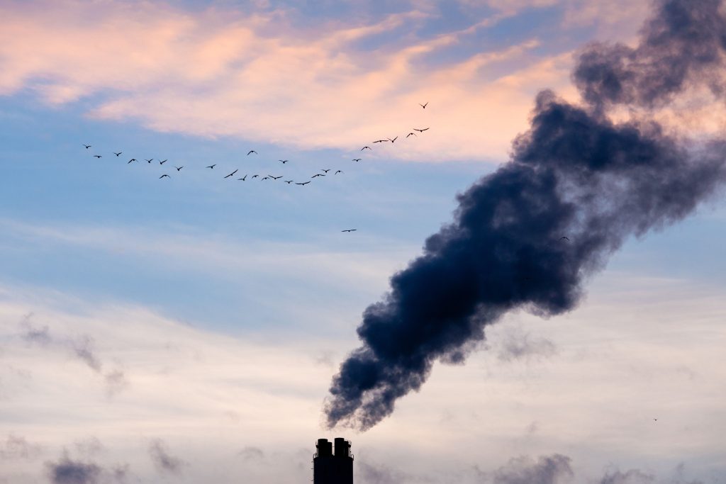  Em 100 anos foram produzidas 2071 mil milhões de toneladas de dióxido de carbono - Jornal do Centro